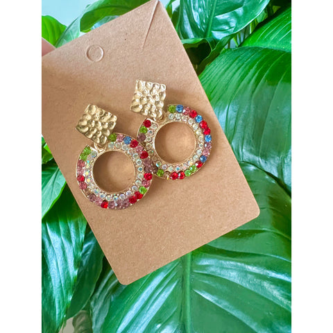 Multicolor Circle Earrings